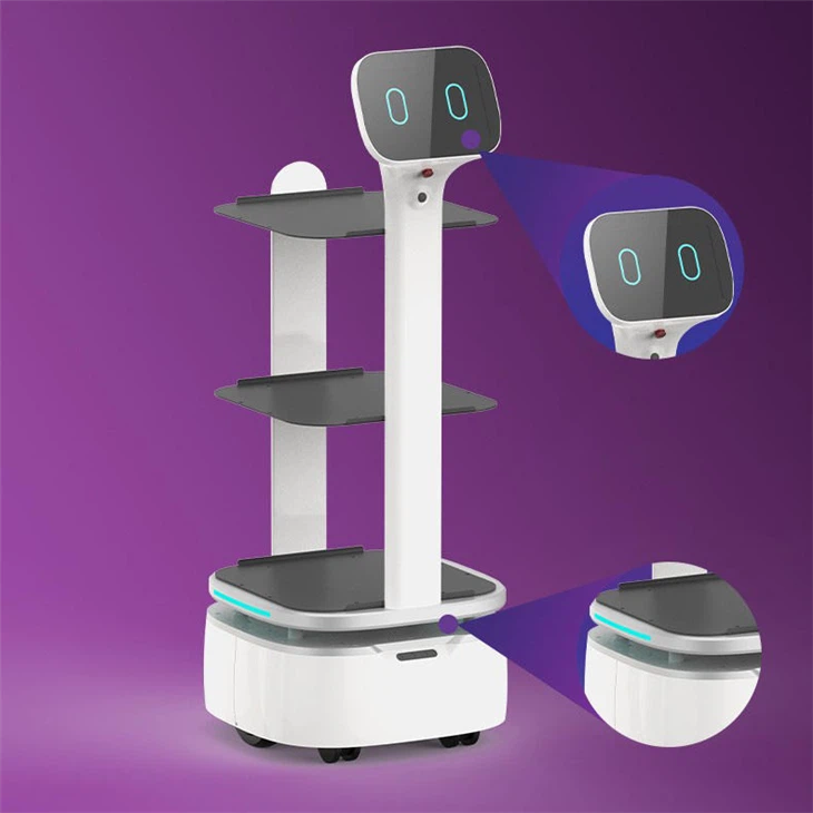 Food Delivery Robot in Restaurant best