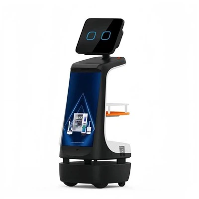 Ρομπότ χαιρετισμού και καθοδήγησης